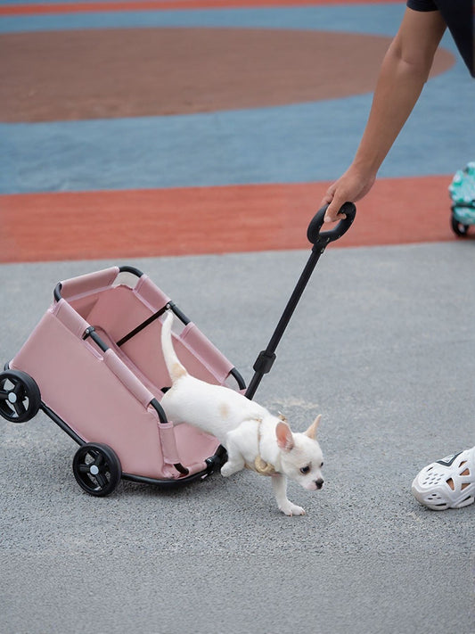 b848b5dd-2e4e-41d9-922d-fb1d0bf21929-Max