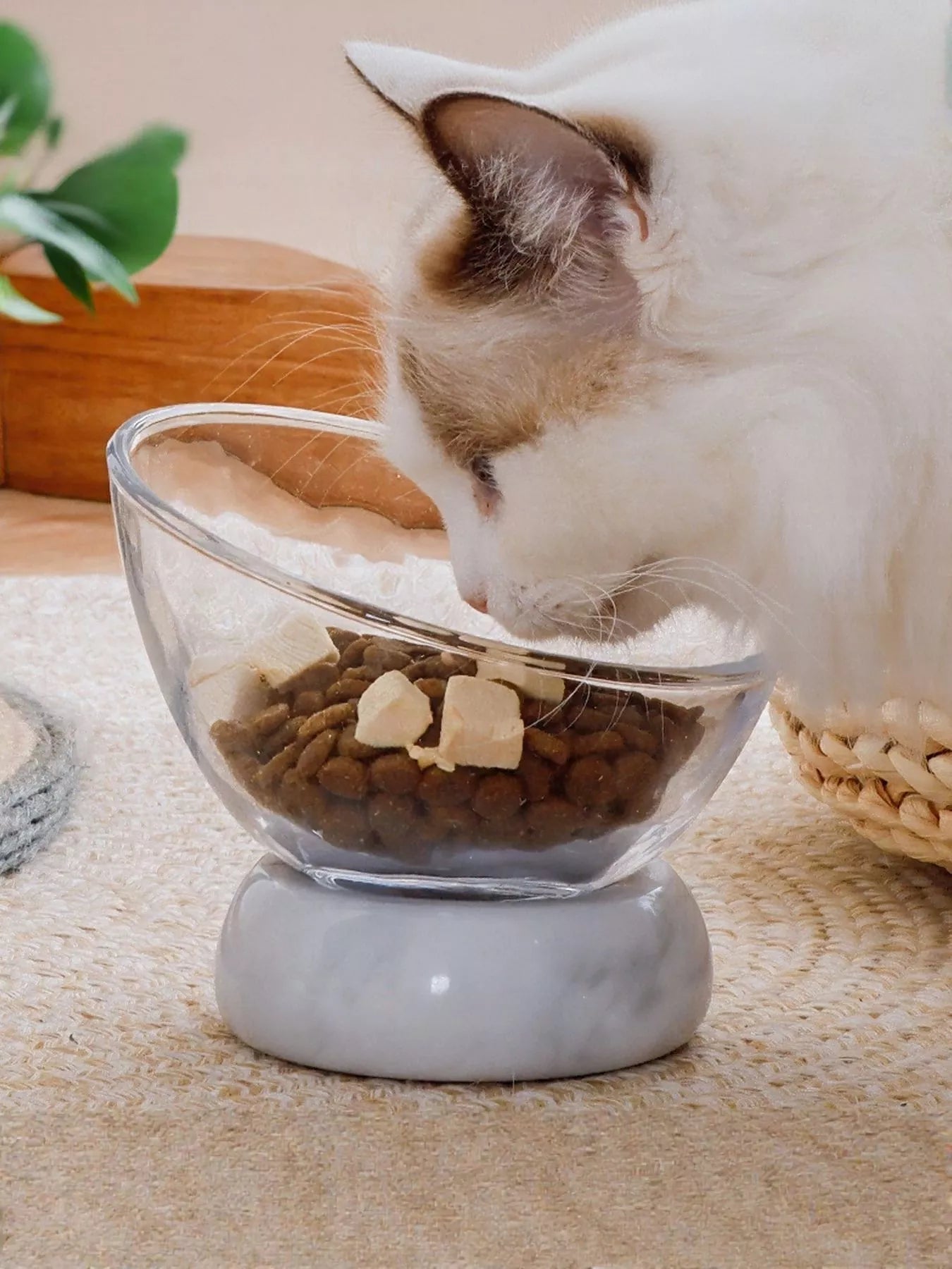 e264aa98-61dd-4d7f-aeeb-94492b9d6757-Max-Origin