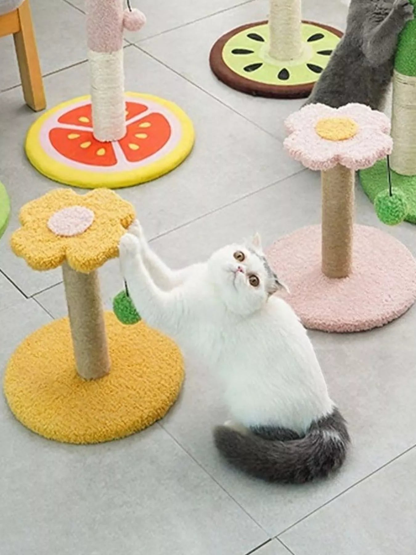 e3a13231-2593-430a-b9b4-077f46c58c9f-Max-Origin