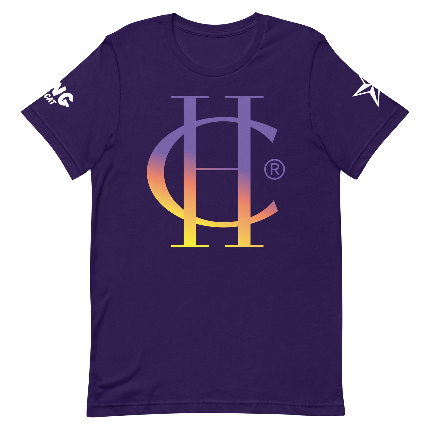 unisex-staple-t-shirt-team-purple-front-6868b165eb214.png