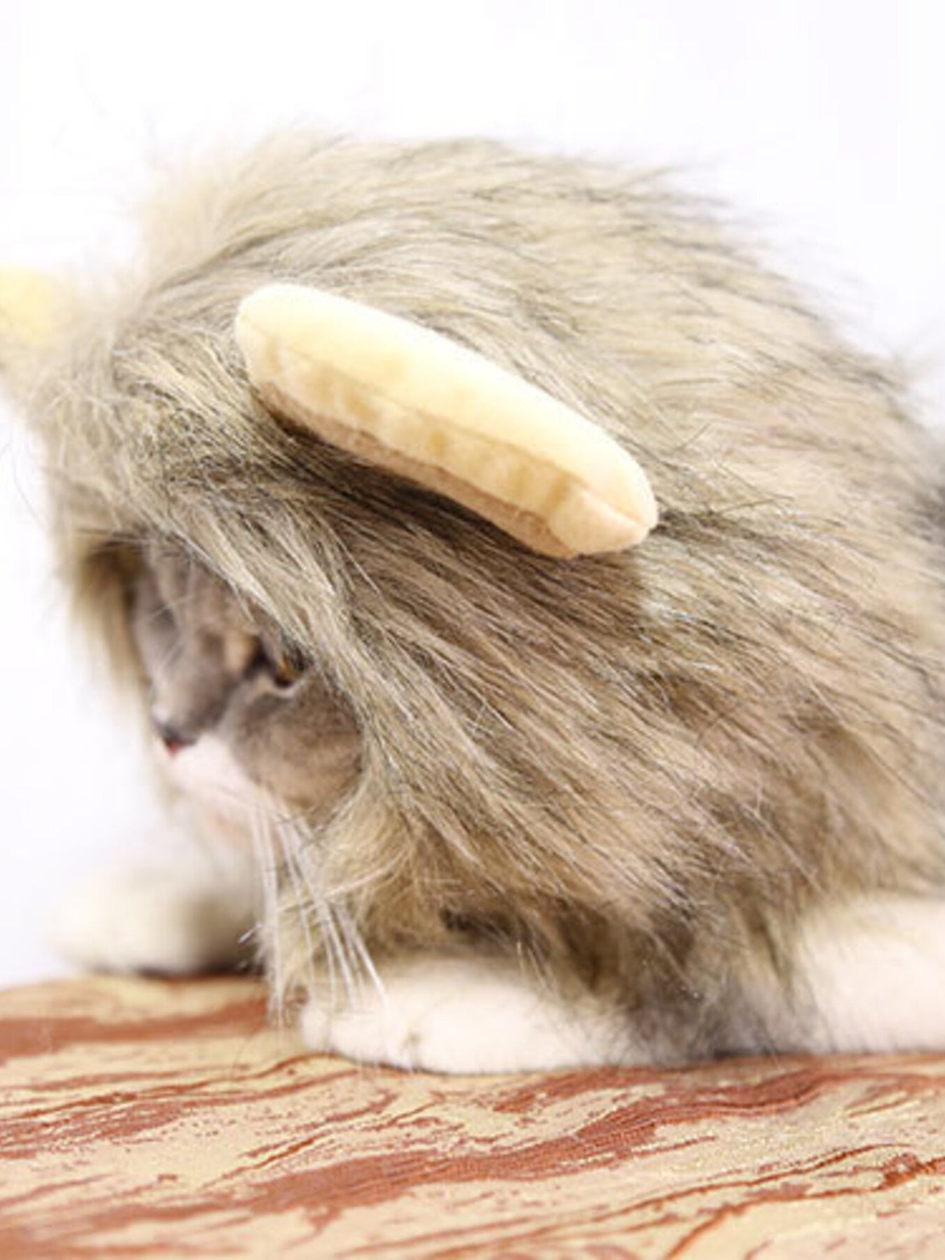 0b6bb085d66d4a488670e0b720b4714e-Max