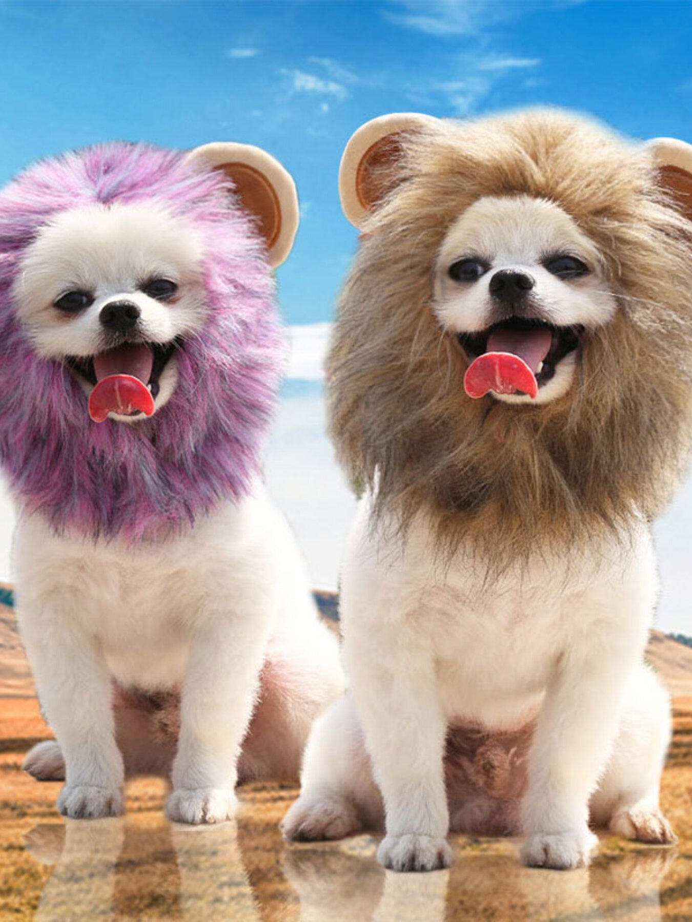 0d506ca429e44631b2f5b4633f23916a-Max