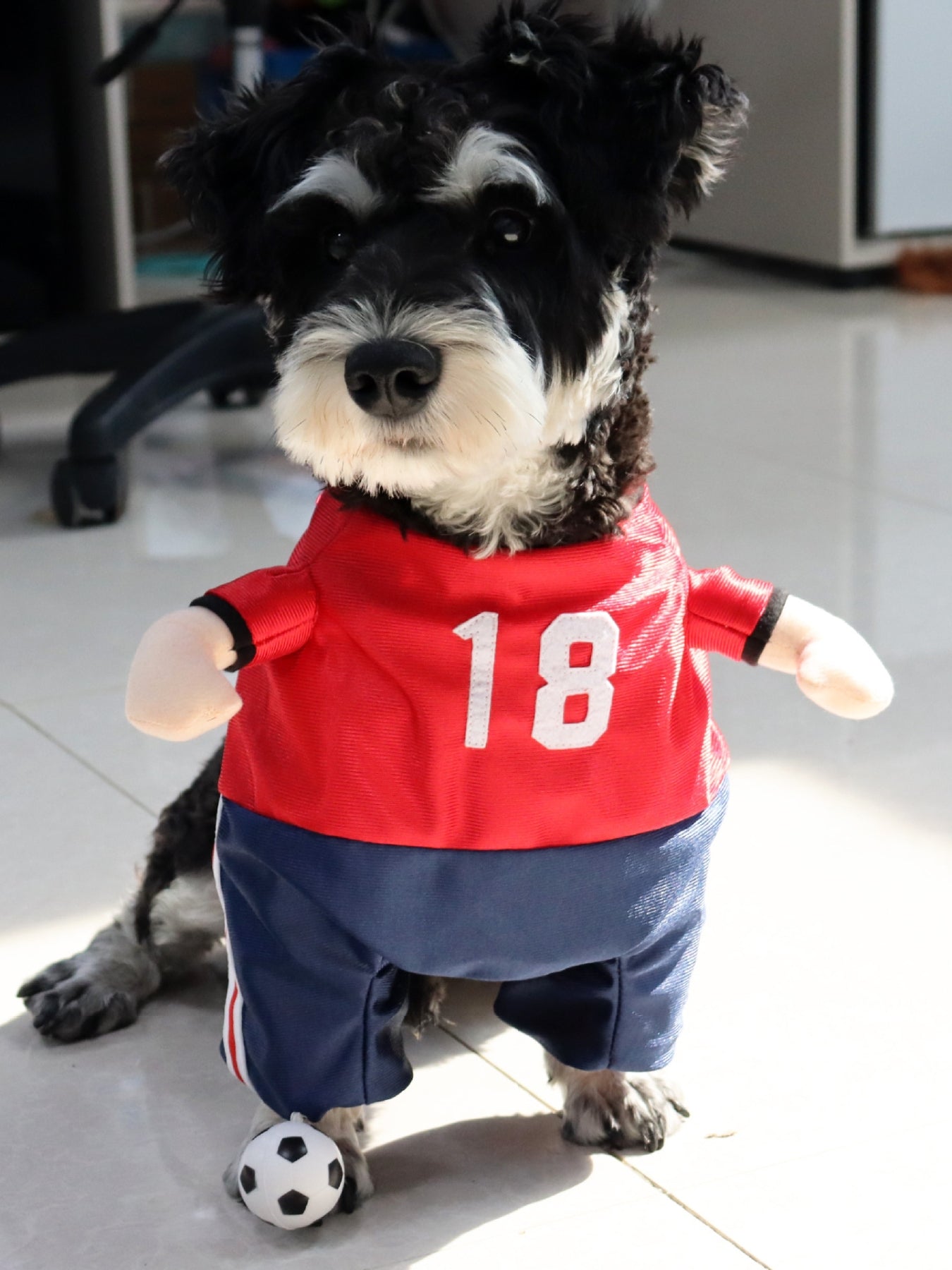 110cc697-c701-46f6-a2dc-cc5a84679306-Max