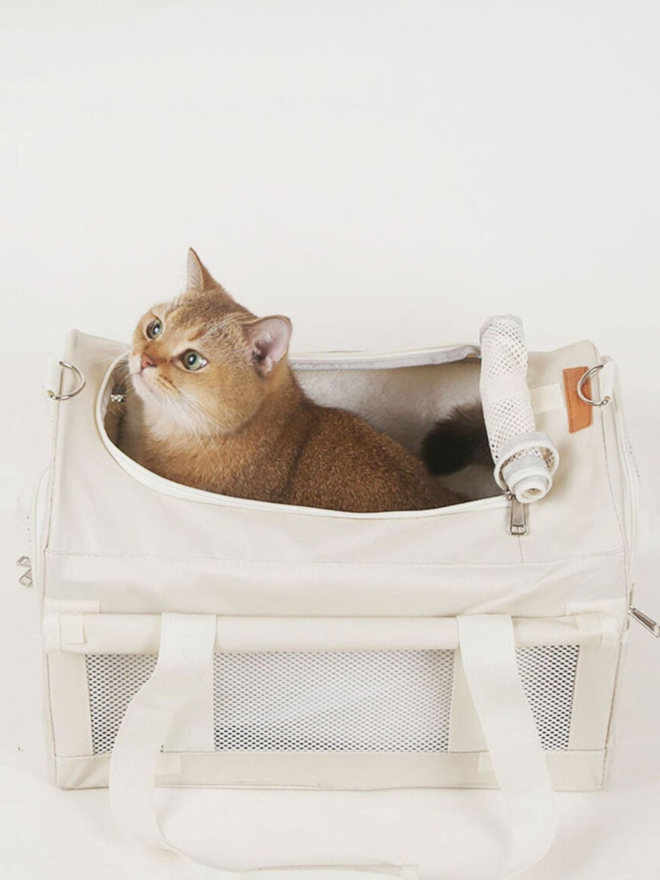 1234cfc1-c1ca-4d76-975d-c4d0b59422d4-Max