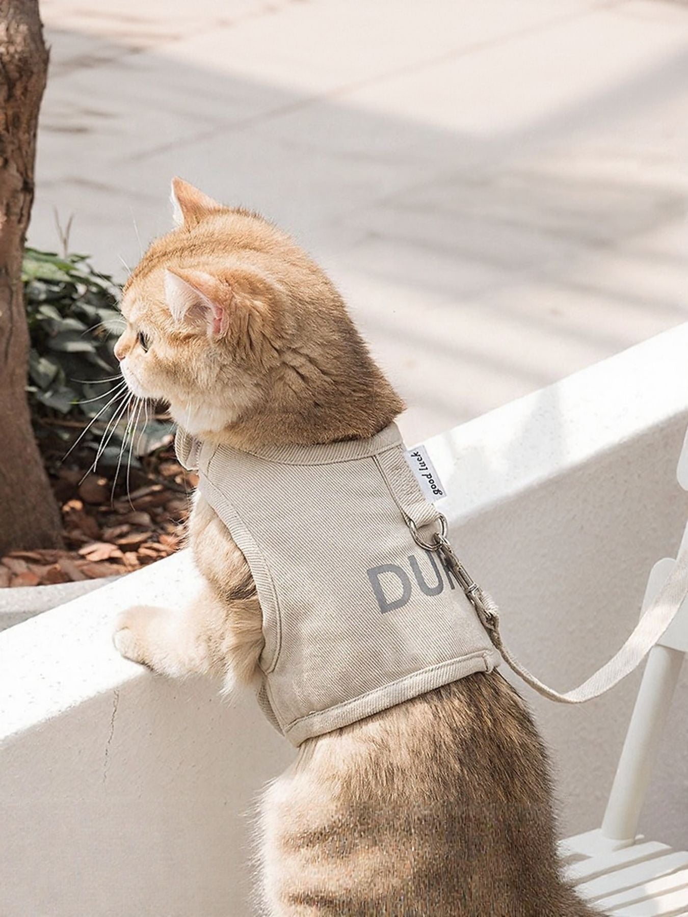 1cdb90d4-eb1a-40b5-83ad-be9cb4623f6c-Max