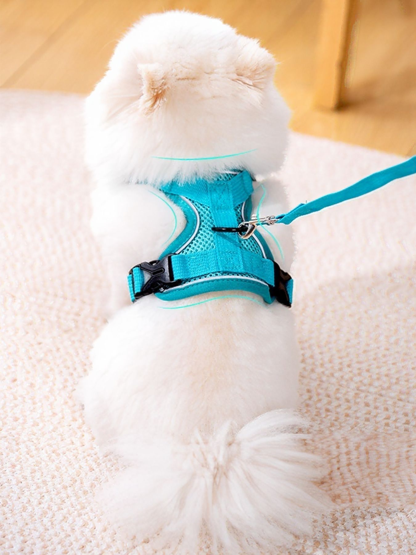 2442c7e9-e544-443d-9aad-dc36eface720-Max