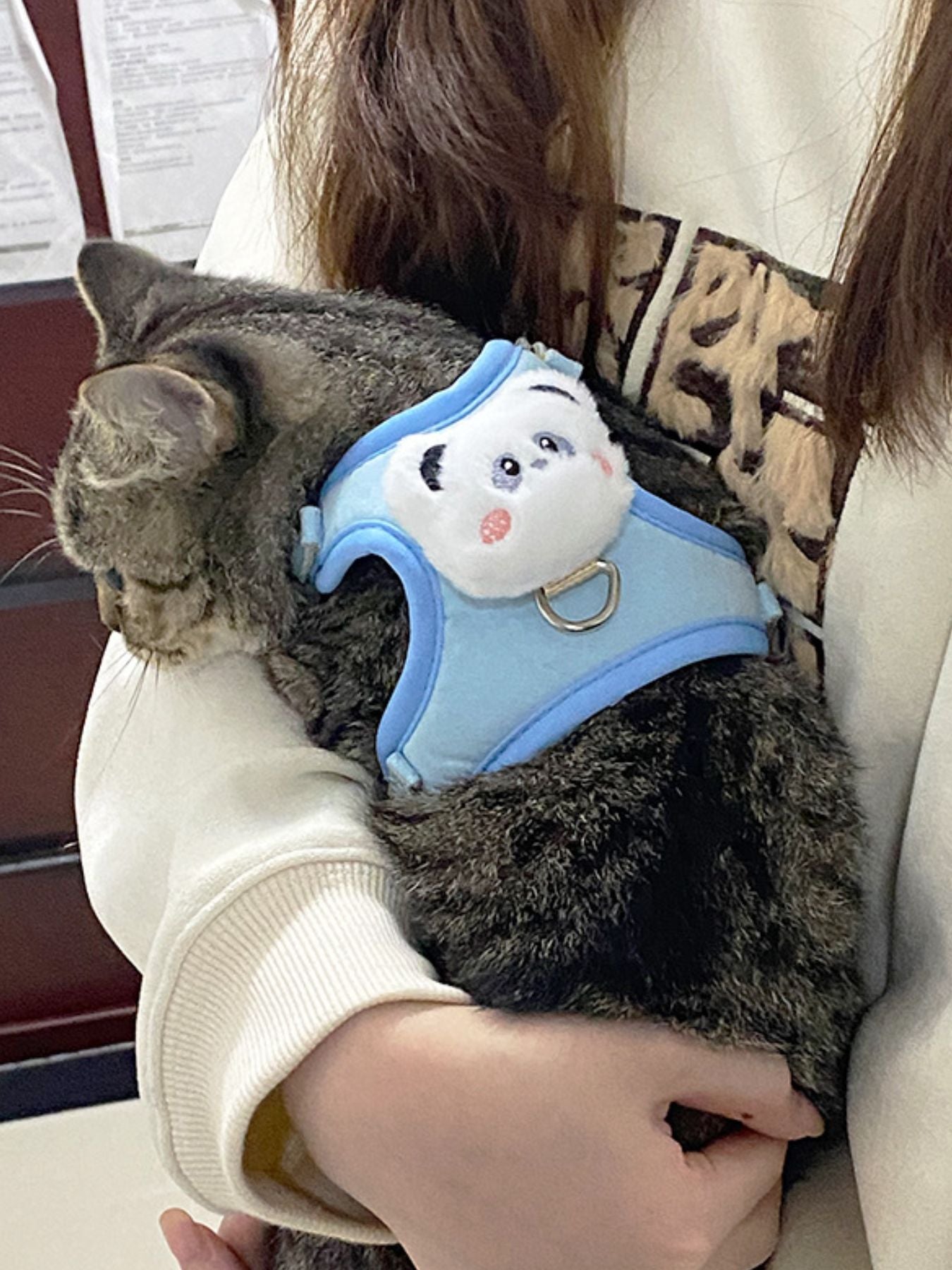 2587d003-061b-4c53-a9a4-3c01a3085b49-Max