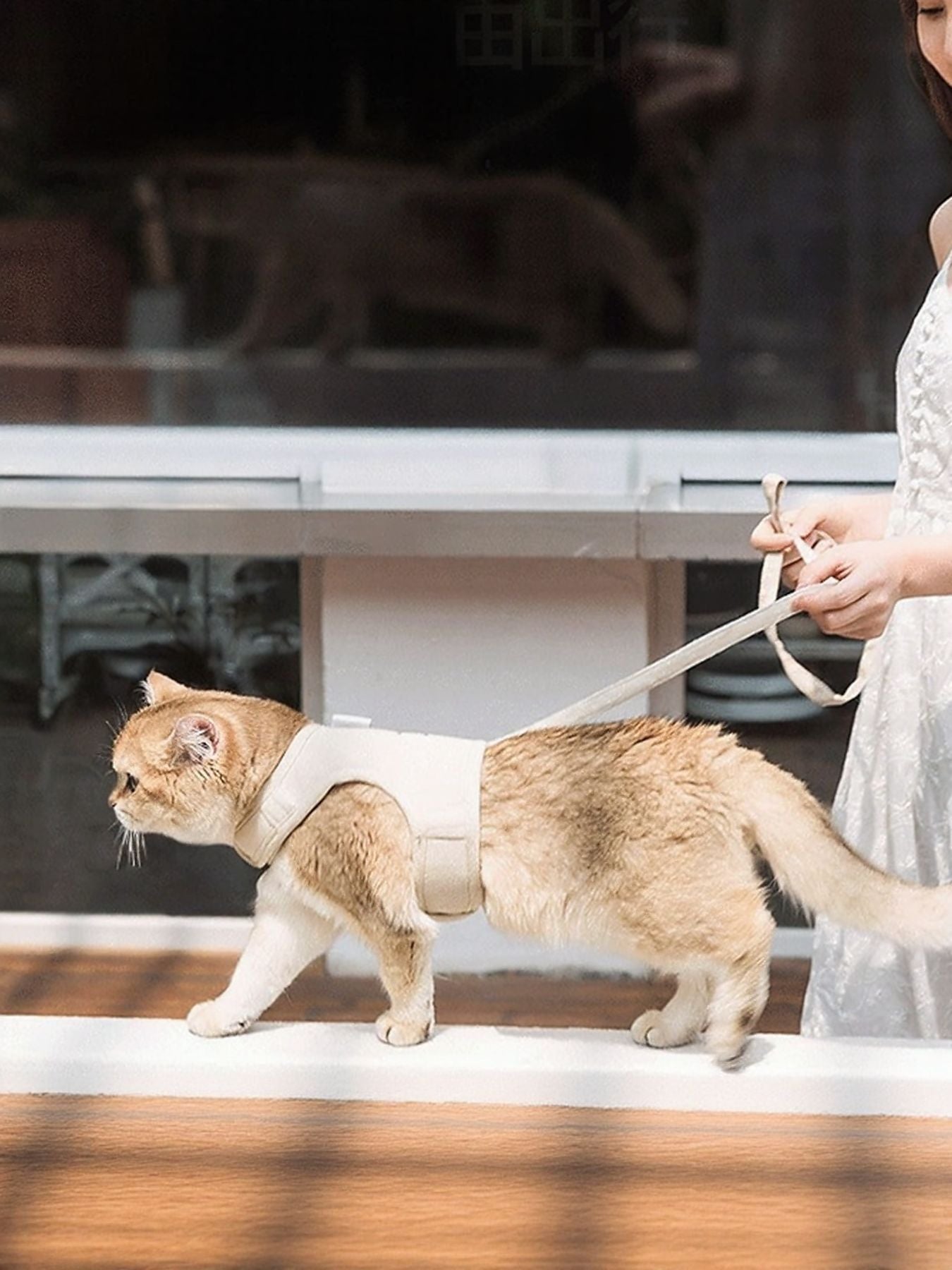 260bd70e-bb92-4be6-a99b-cfe3c20b18ed-Max