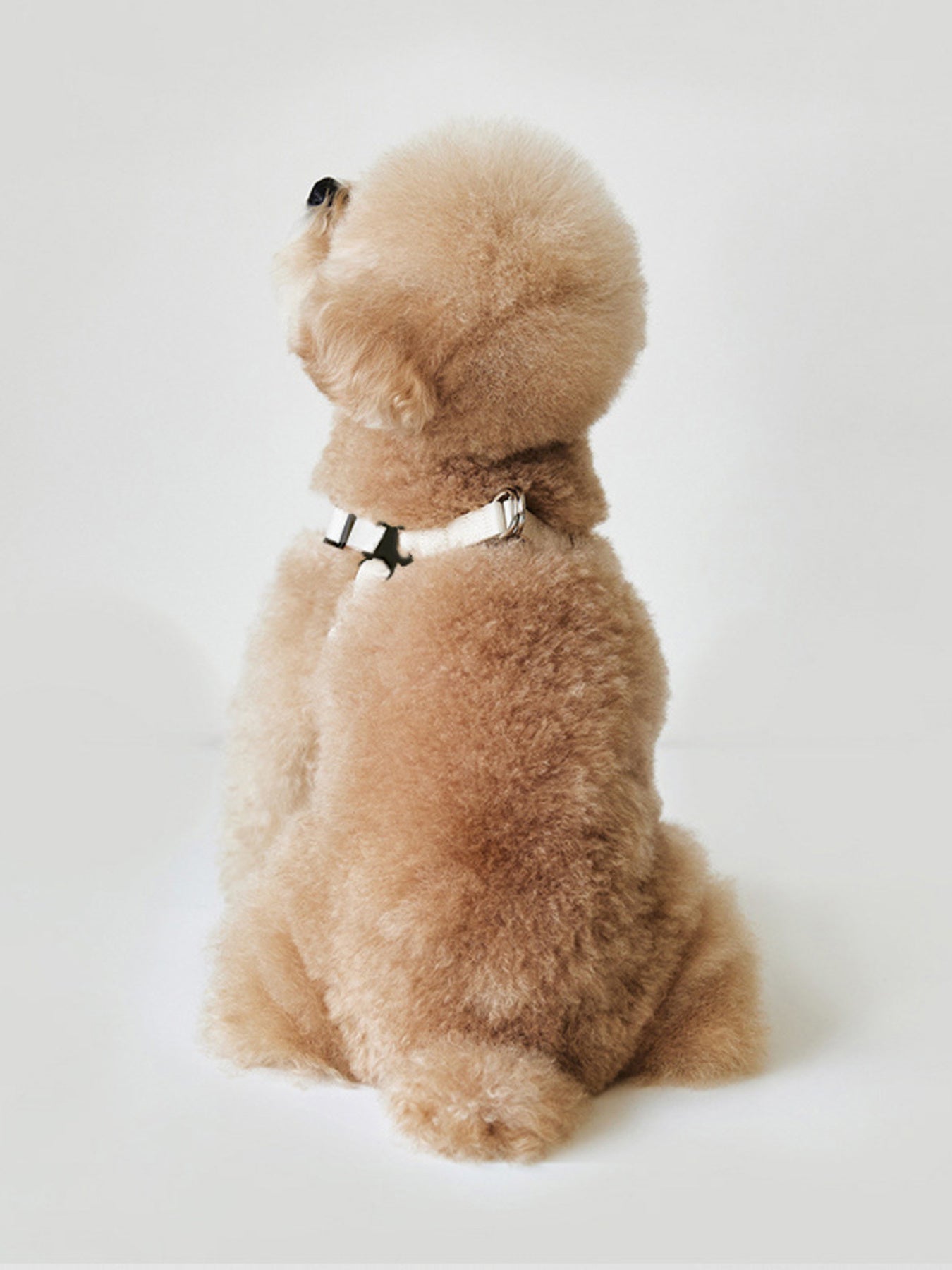 2b625bba8ba34b4d928dd3ebddba6504-Max