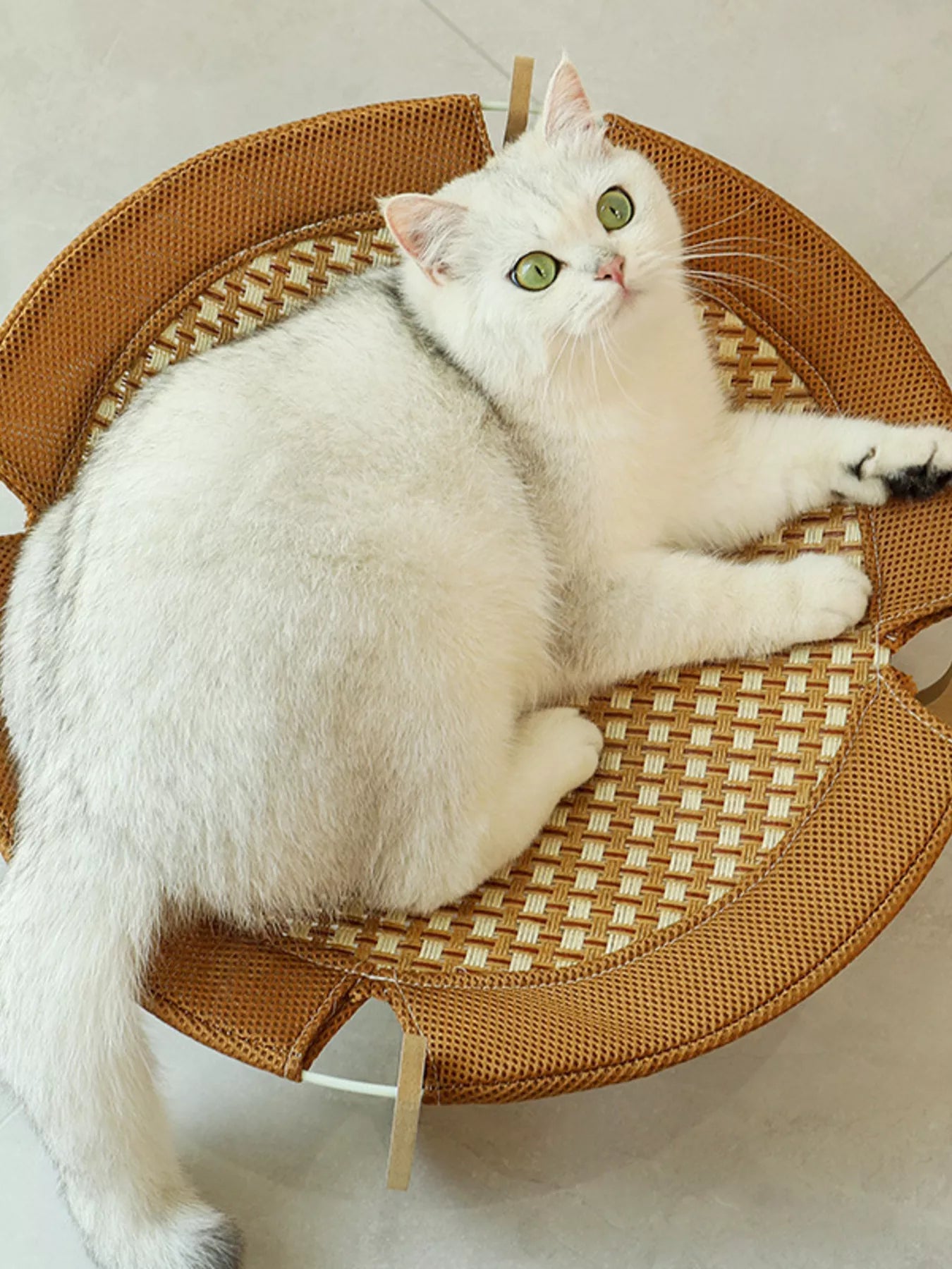 2d06c64dacd94280abb1feb6c4401acc-Max-Origin