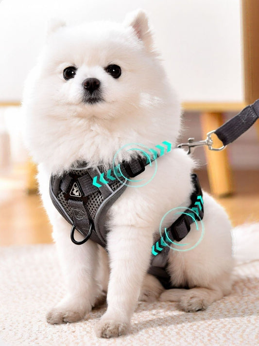 434e750e-32b2-4e17-a6c1-7ca6c5732eab-Max