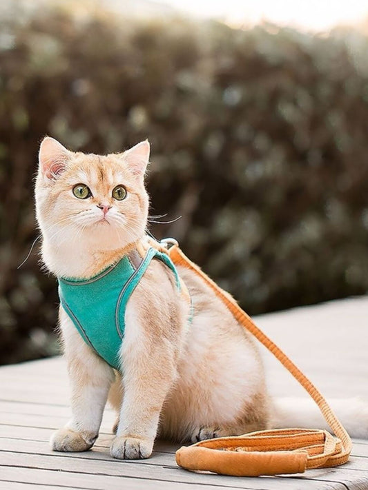 4573927f-8ad4-4e37-9ff7-9c80d15ba7e6-Max