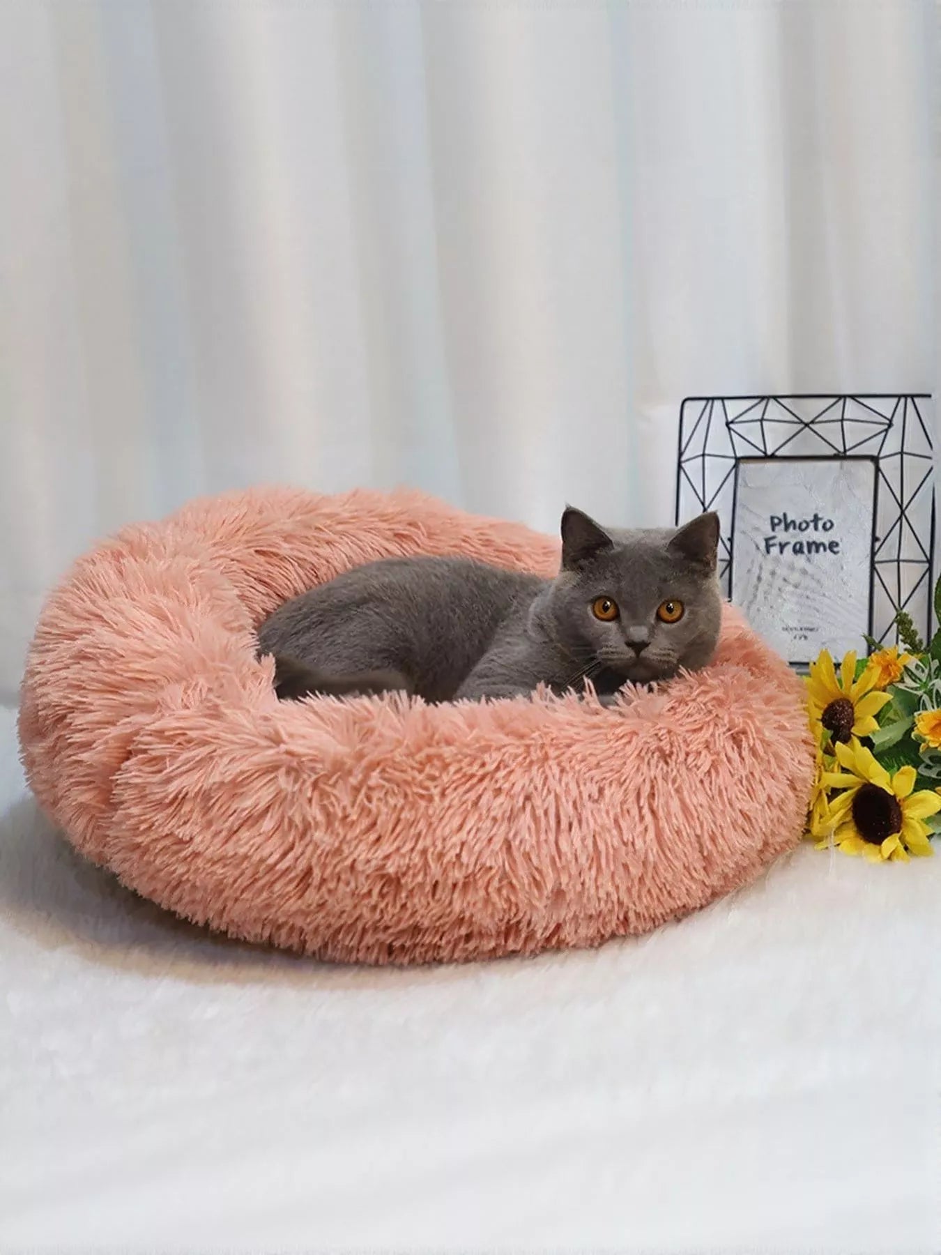 460a3b81-f12f-4fc6-93c7-2a08c79421cd-Max-Origin