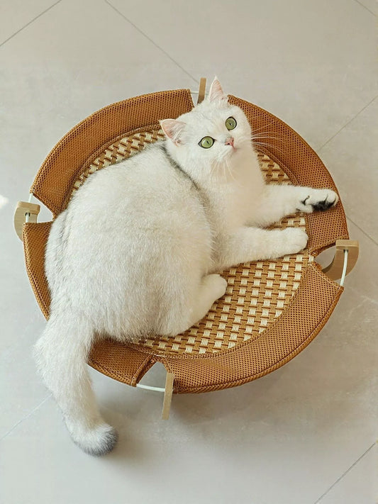 46dcd410-1219-4339-9f5d-6822f2579d05-Max-Origin