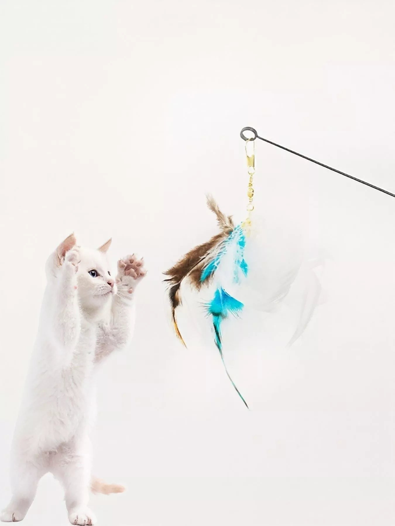 4c424249-aa39-44e8-b941-5fa8ba808354-Max-Origin