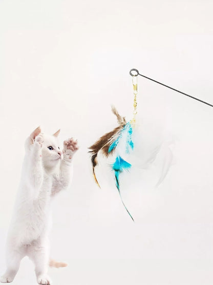 4c424249-aa39-44e8-b941-5fa8ba808354-Max-Origin