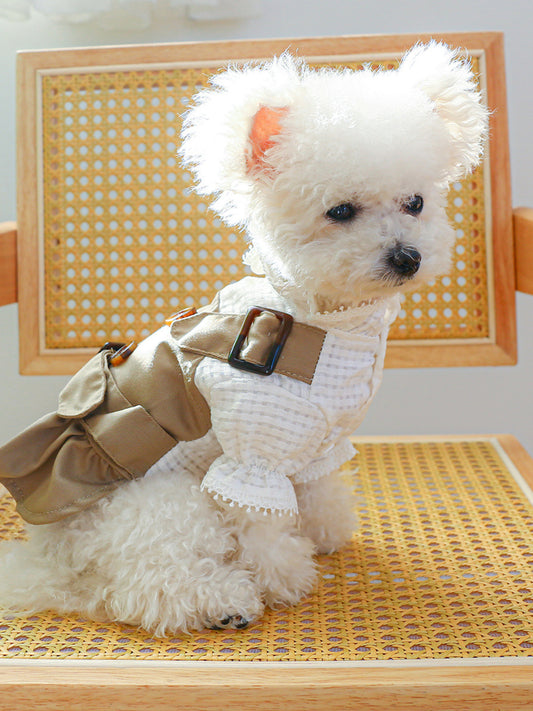 4e818146916943d5a801f195794276d4-Max