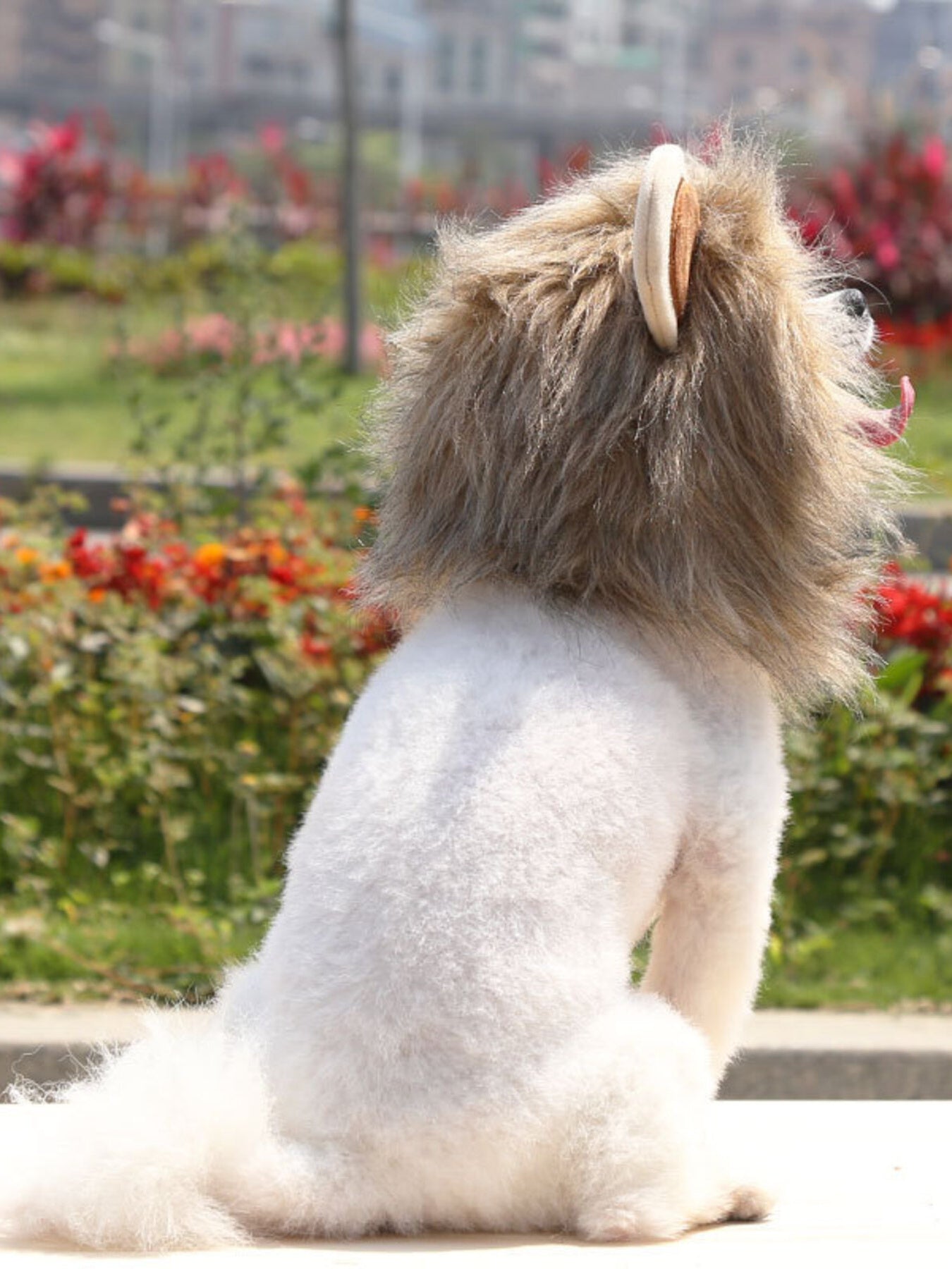 51db3f95504b463fb341b50e12439528-Max