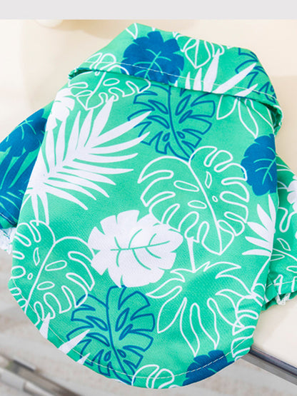 5956d2bad04a416a919a1878ff517948-Max