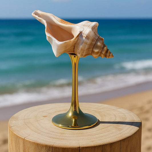 Natural Conch Wine Glass-0