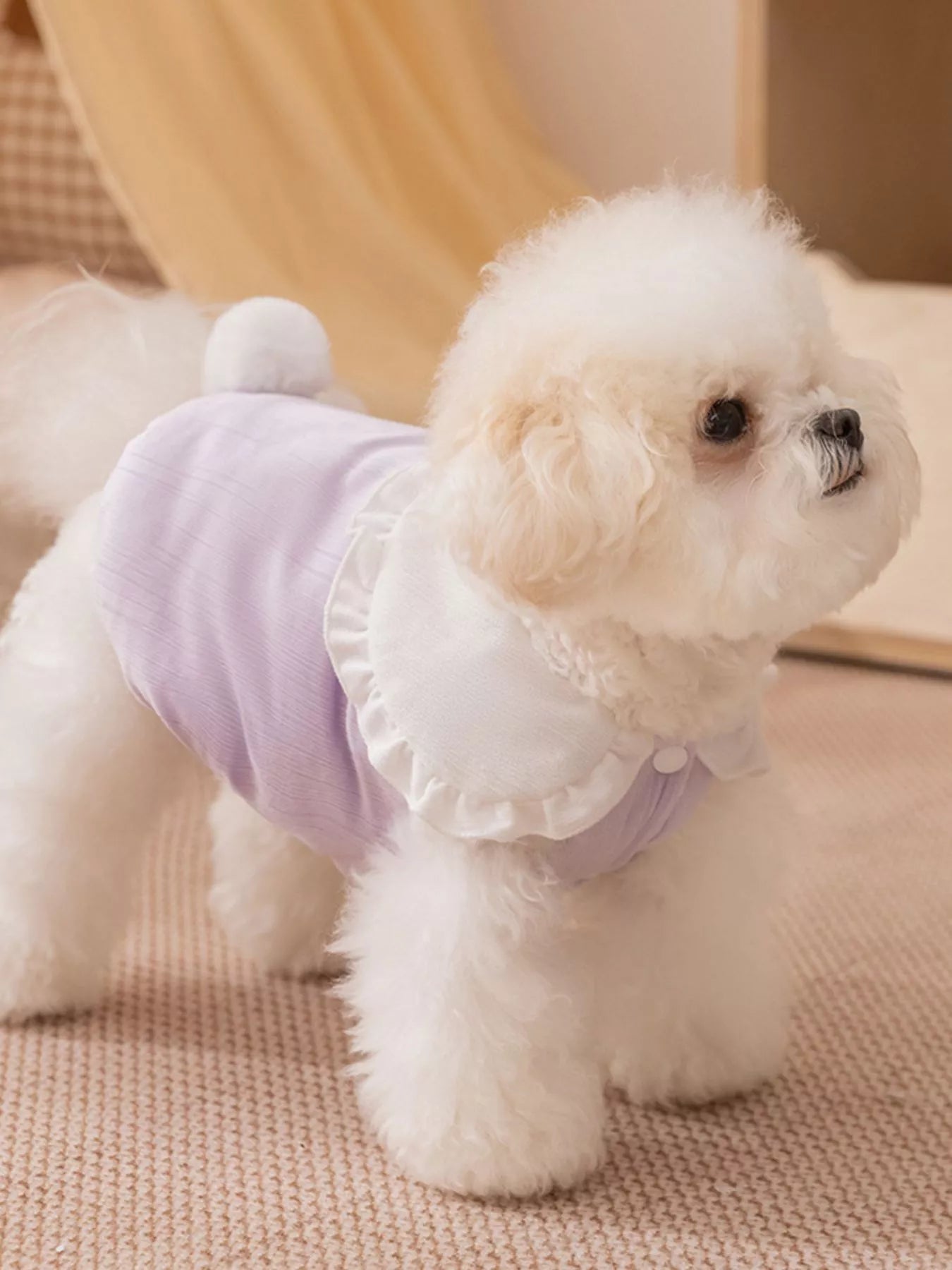 689f9116-5813-46b2-abf2-03cd225d80b9-Max-Origin