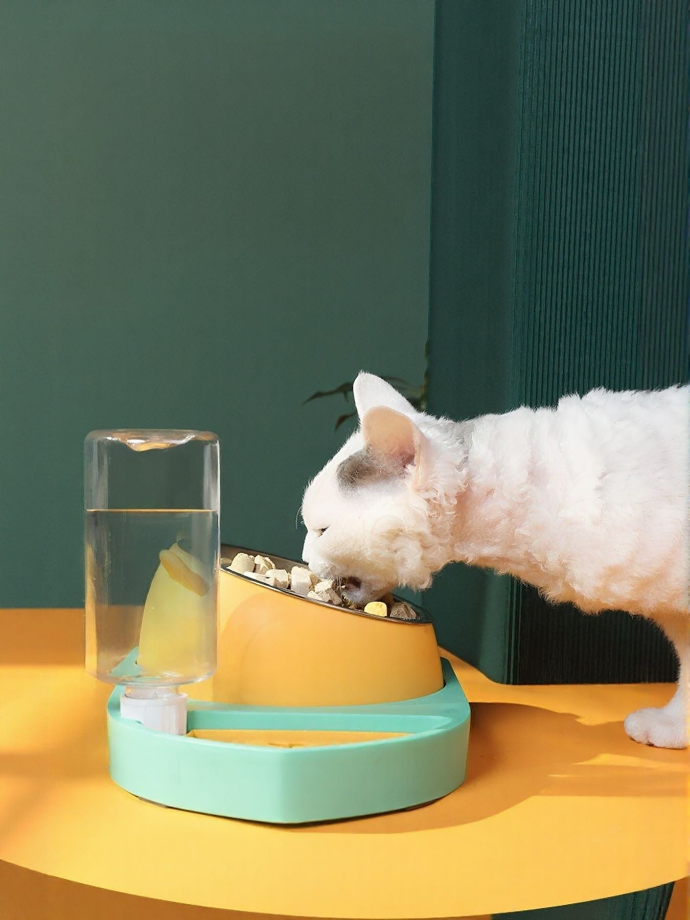 6decd8f689f44e1cbab7a34c541f332f-Max