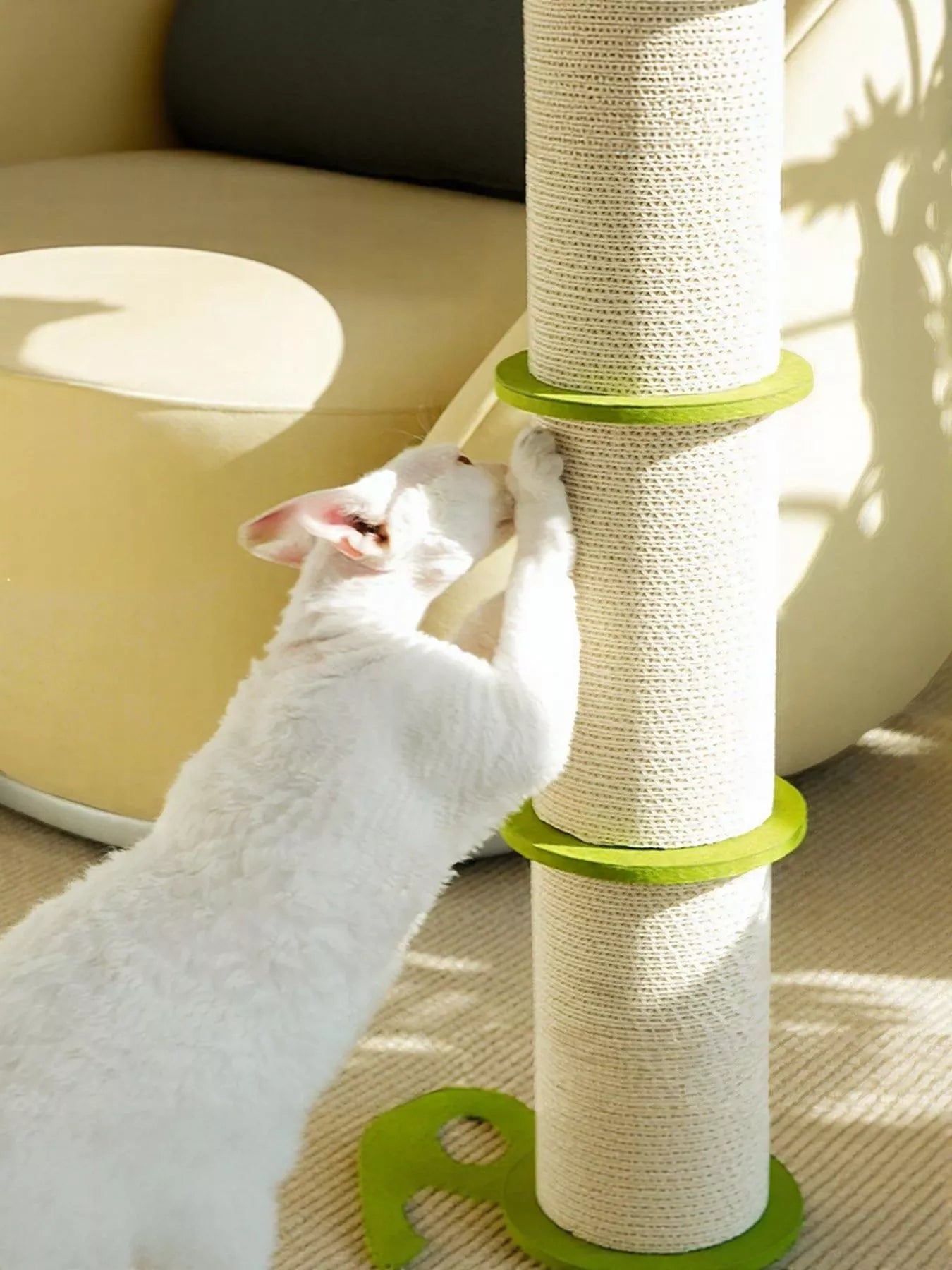 706dd6ef-f440-4567-a151-5d05c40a20b2-Max-Origin