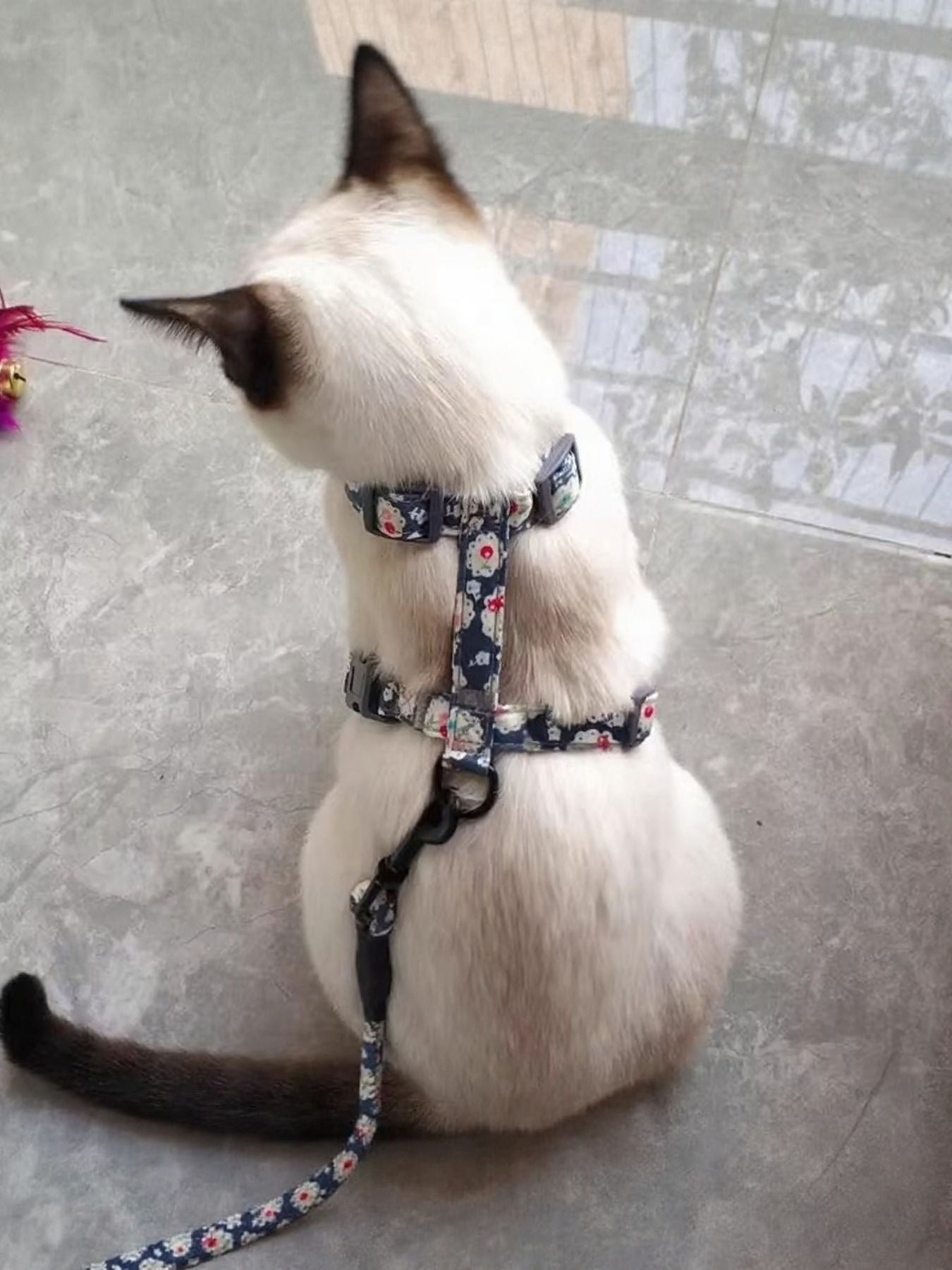 7950089b-bccf-4fb7-bf8b-c9052a79f6da-Max