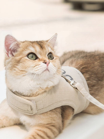 800add78-5f8b-4aa1-8429-cf28b86a473b-Max