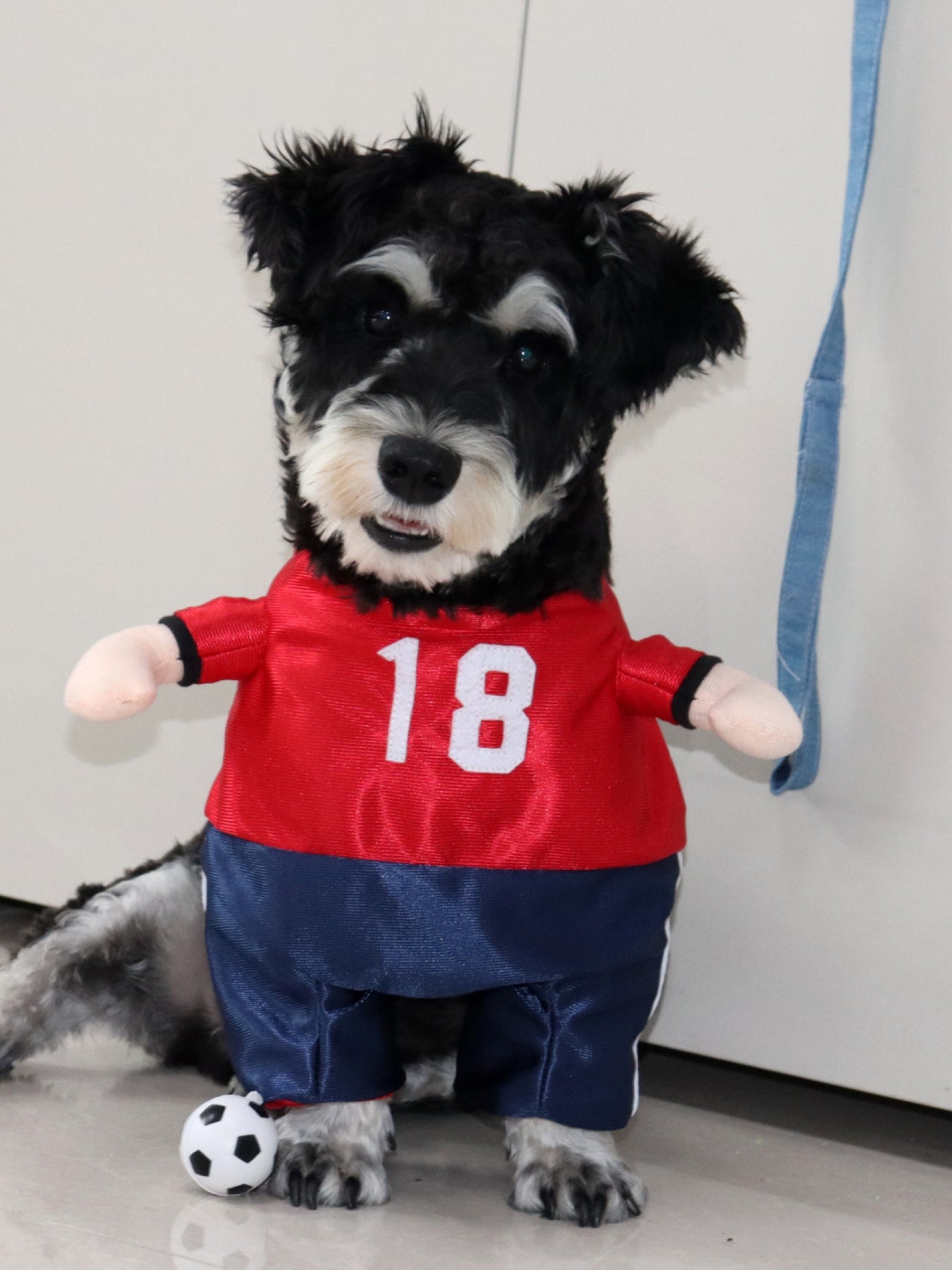 87fea280-e102-438a-916a-aca2df62803a-Max