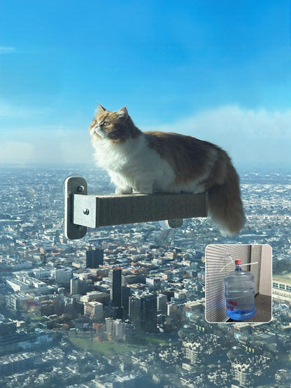 888e1f9e-03b7-49ce-80e1-b142dc8d259d-Max