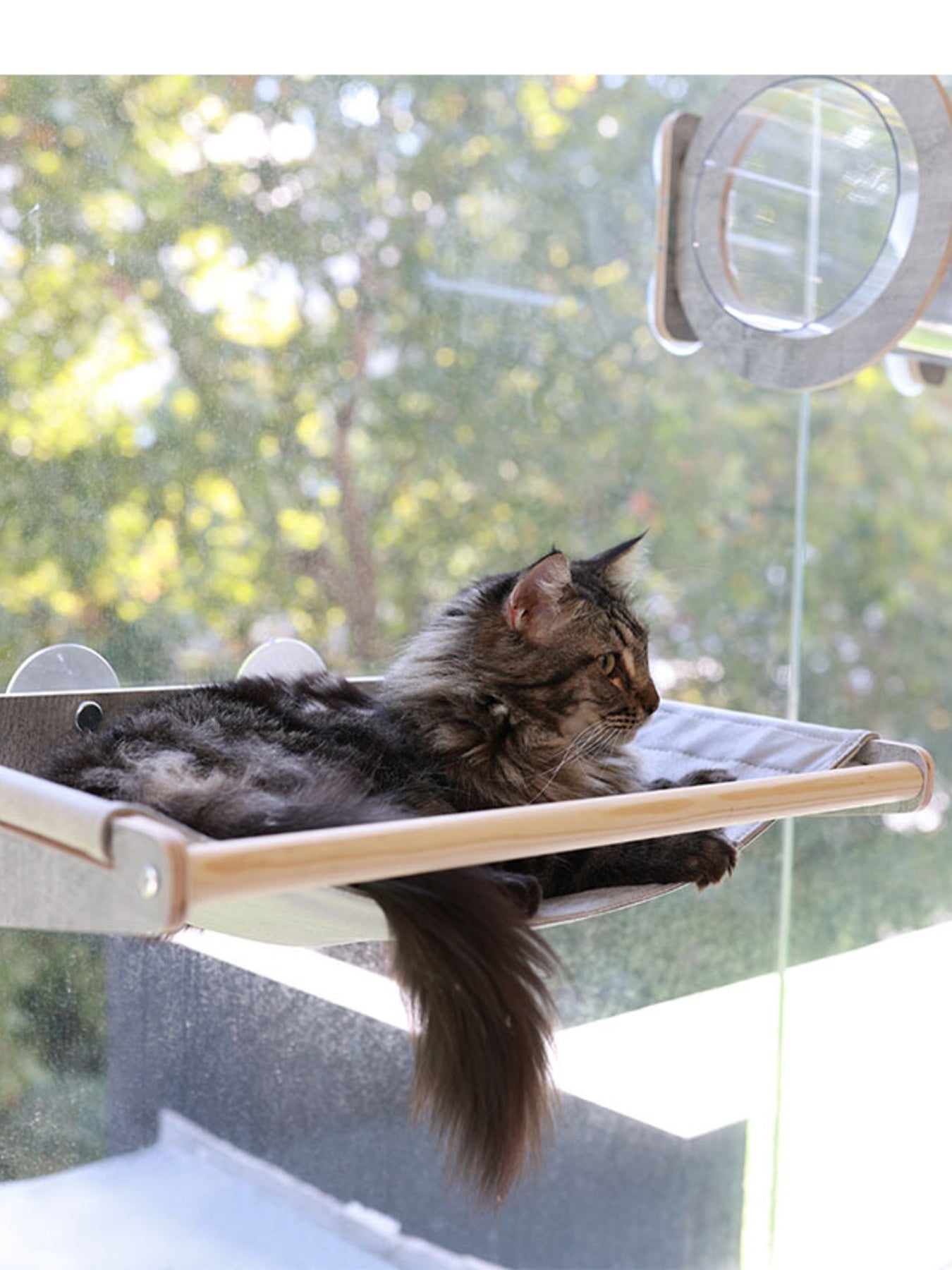 8d1748b6becc45929abe0c2cf47397fb-Max