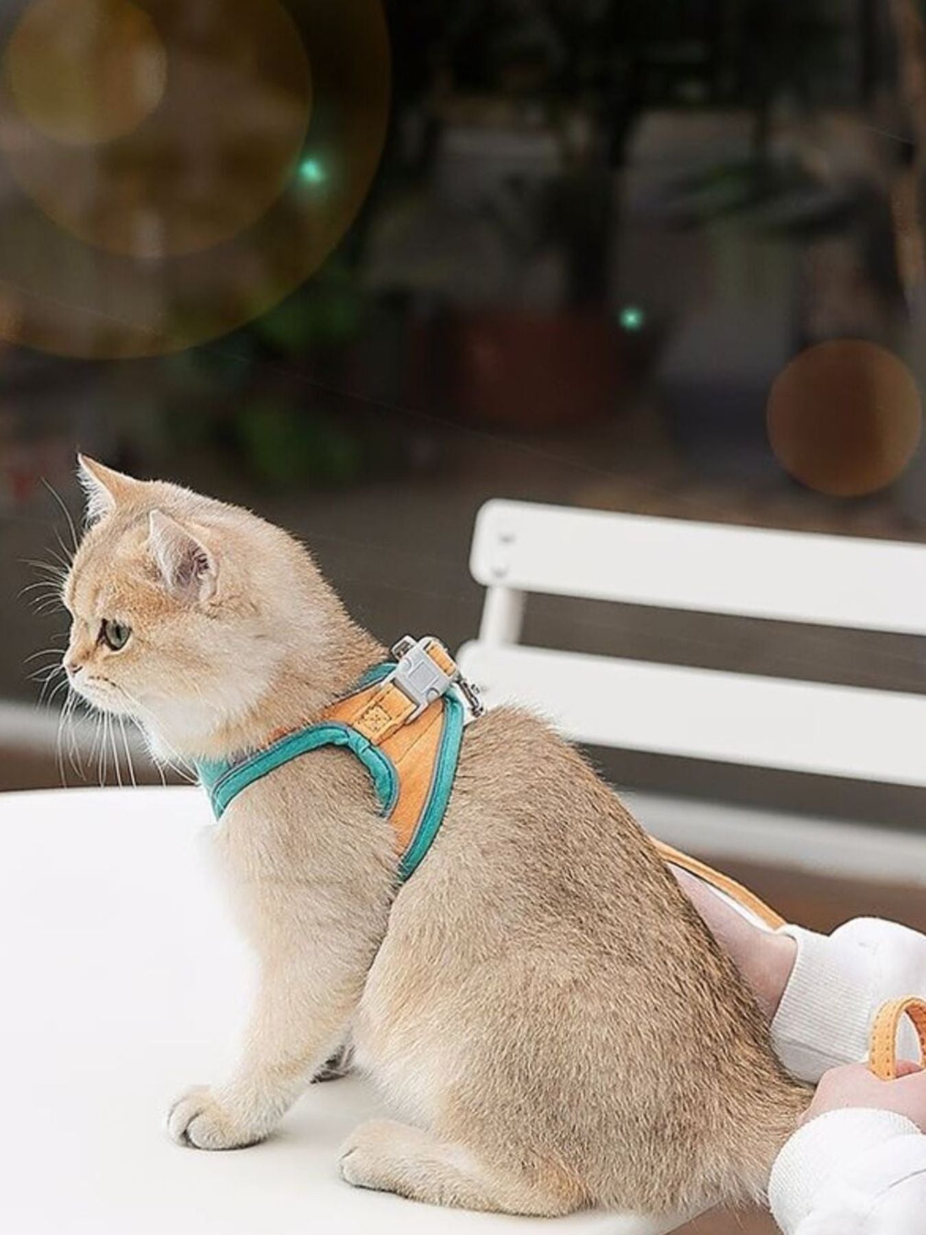 925ef4b6-49f7-47cd-a64c-2845aa66a3c7-Max