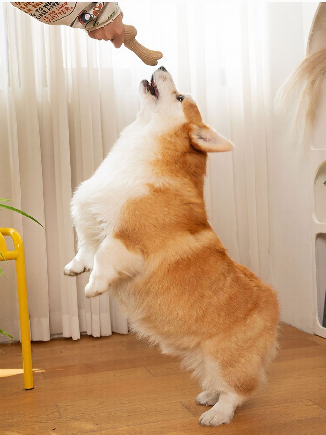 987b1433-6c70-41be-80d2-6d7f10dbfe2e-Max