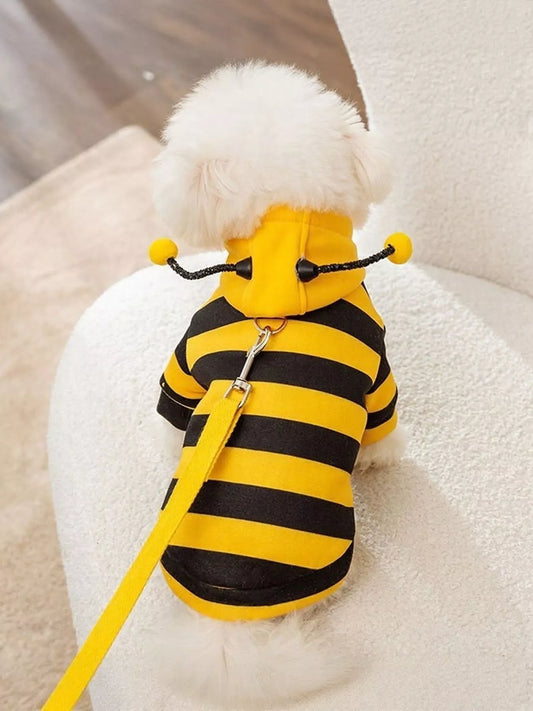 9967a6d1-0aca-4f6a-8200-a0b396be728d-Max-Origin