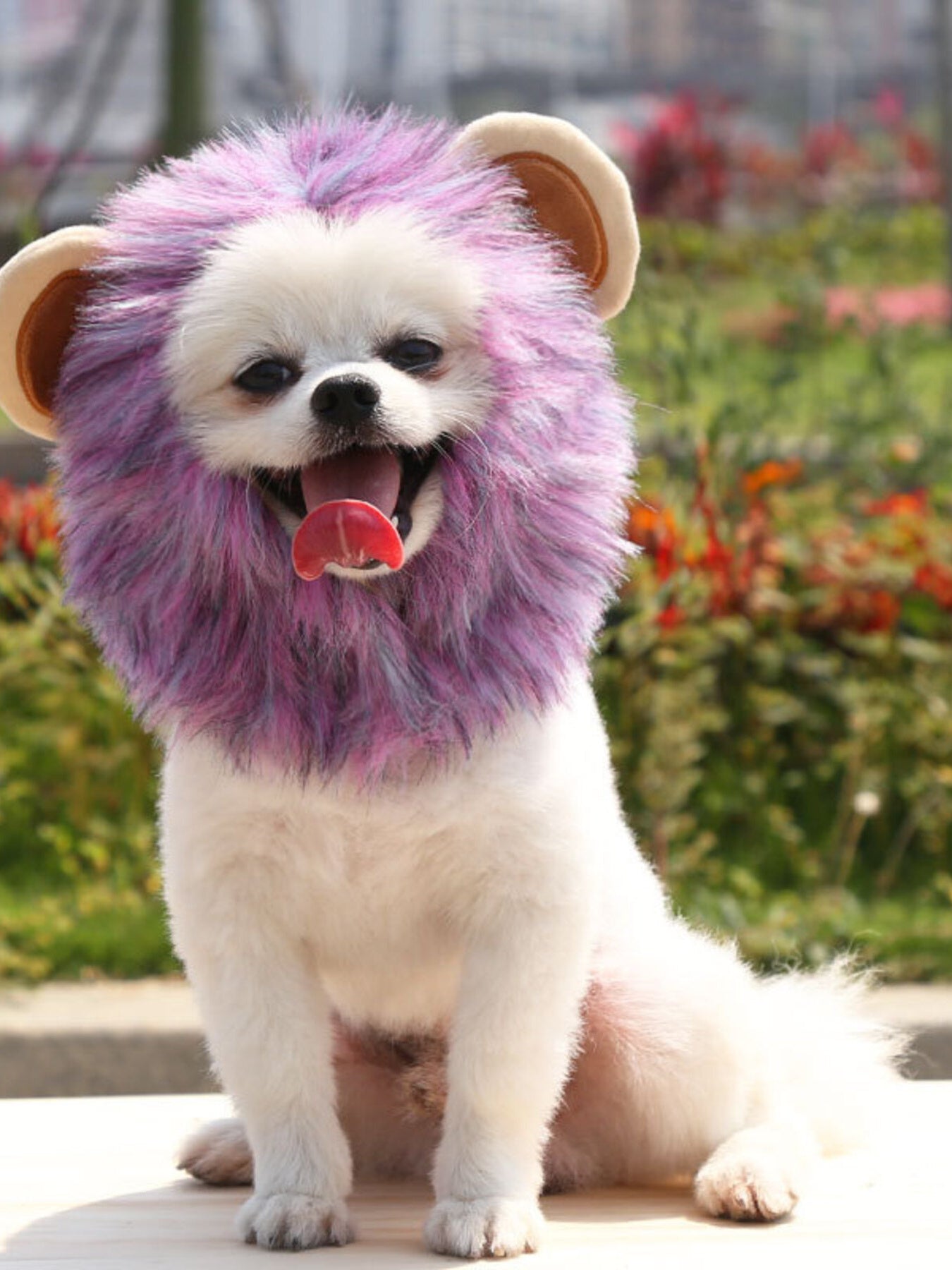 9af7950a7ee64da9995c8435d8a04764-Max