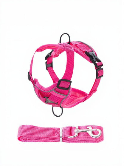 9bb62cd5-a966-4884-ac6a-96e30324fc62-Max