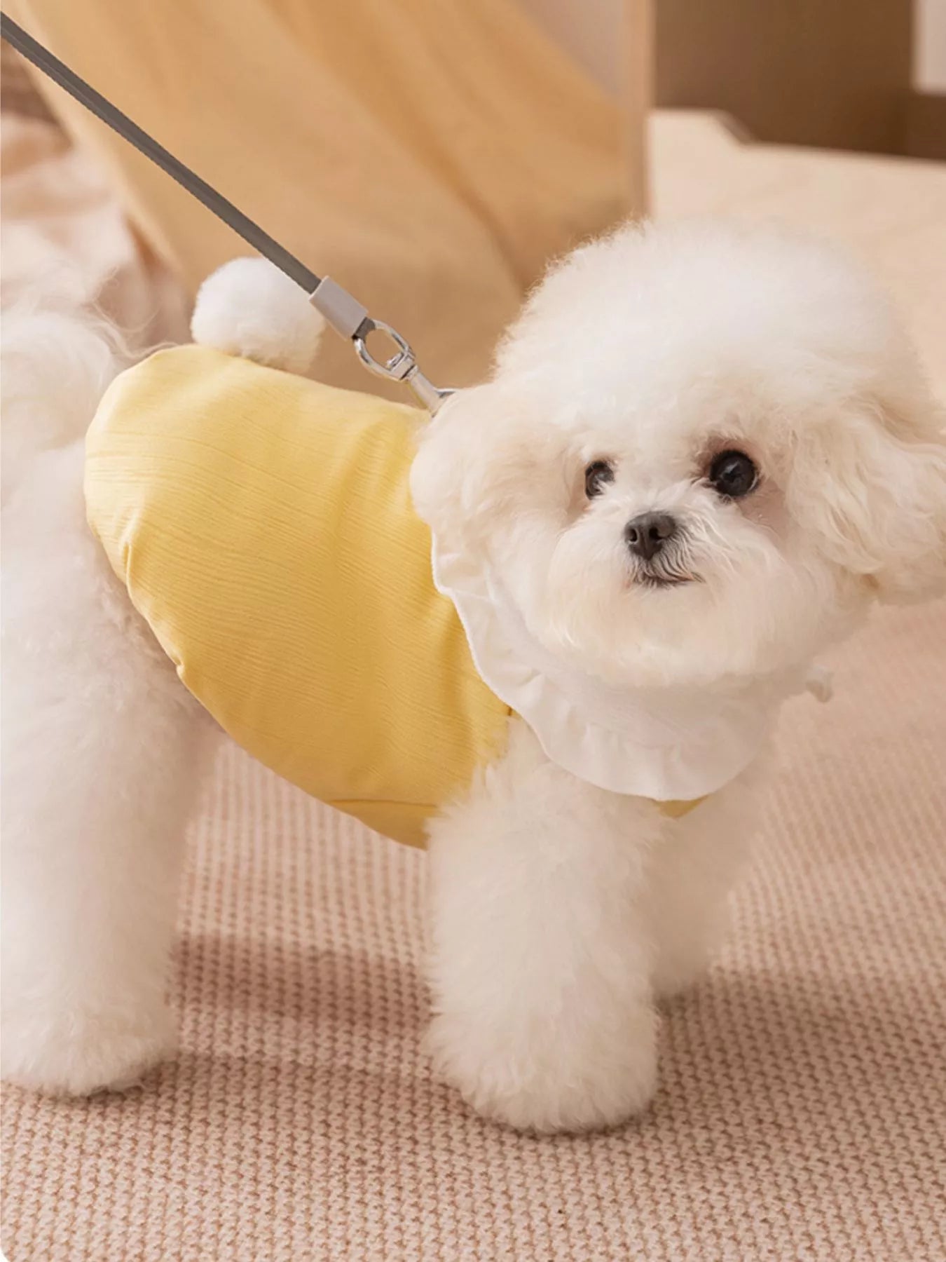 a4d37db4-96fb-4169-97b6-4df96d3eef13-Max-Origin