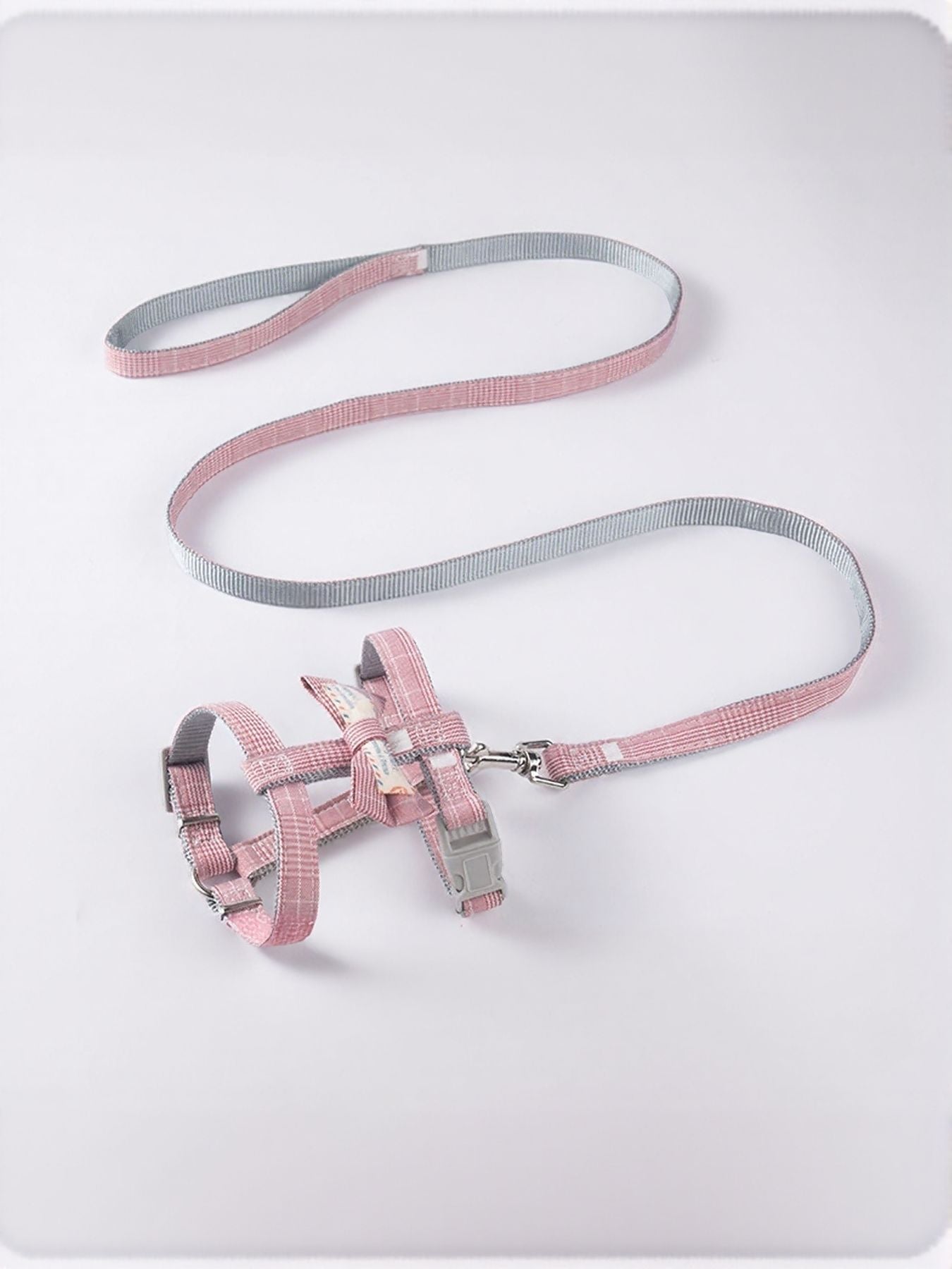 aa48e4bd-50f5-45a9-9470-953986615ad3-Max