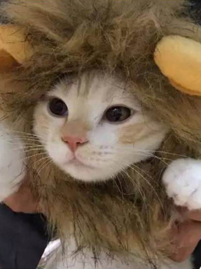 ac0e0a44de2d4239864a277509704d18-Max