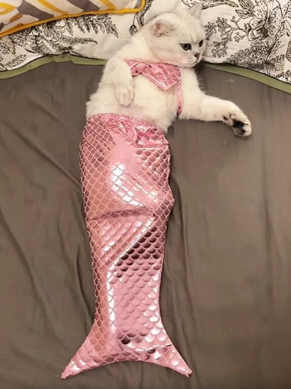 ad7a1d07393448c49ee872c05294af04-Max