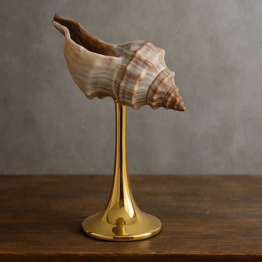 Natural Conch Wine Glass-1
