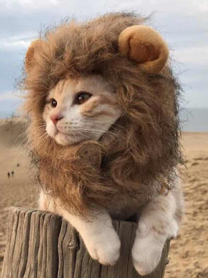 b589526815fe457f921caf03831141ab-Max