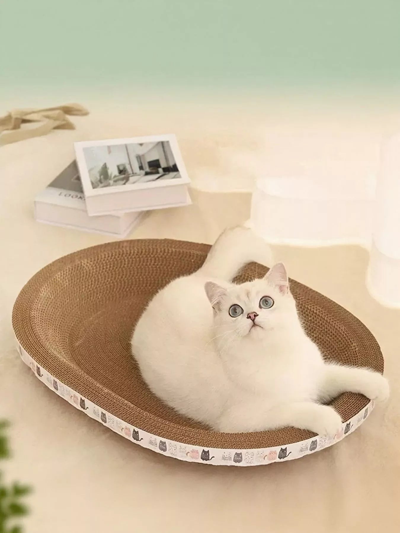 b7b464df-9108-42fa-94f3-7aeeee391912-Max-Origin