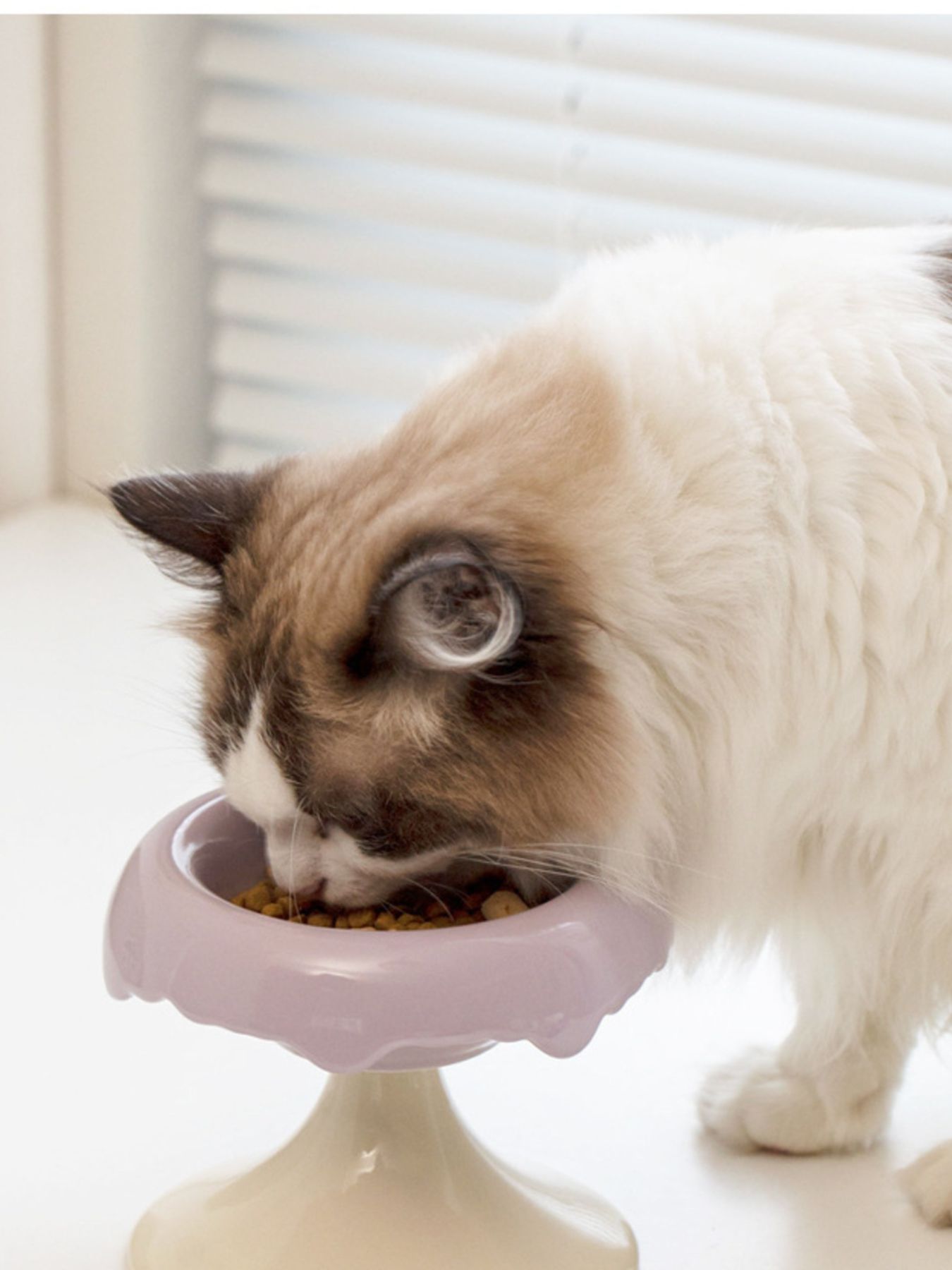 ba7143d0-3ee3-4e62-937a-85104a8fb27e-Max