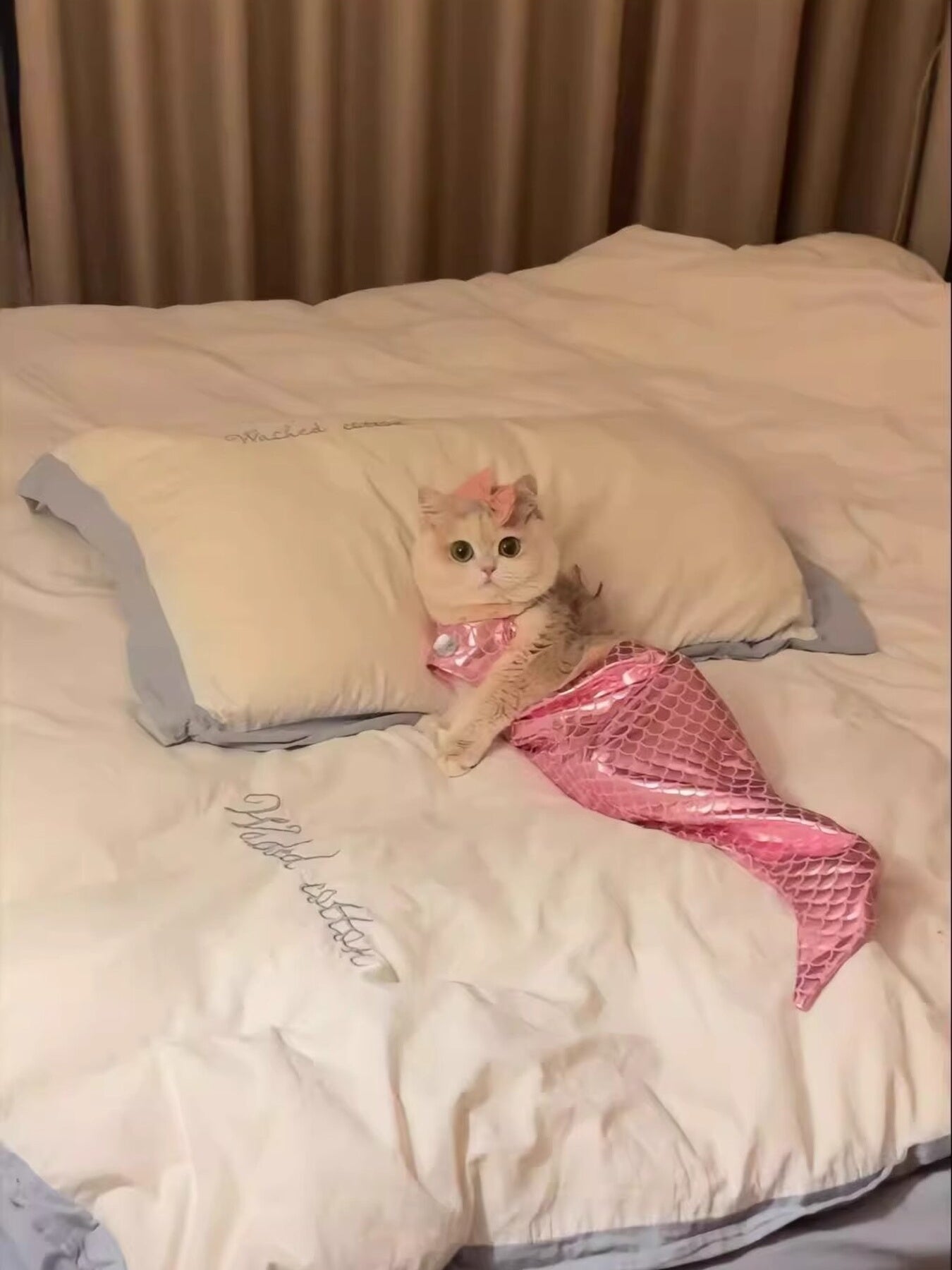 be85f710d3874d64979e43642df2c033-Max