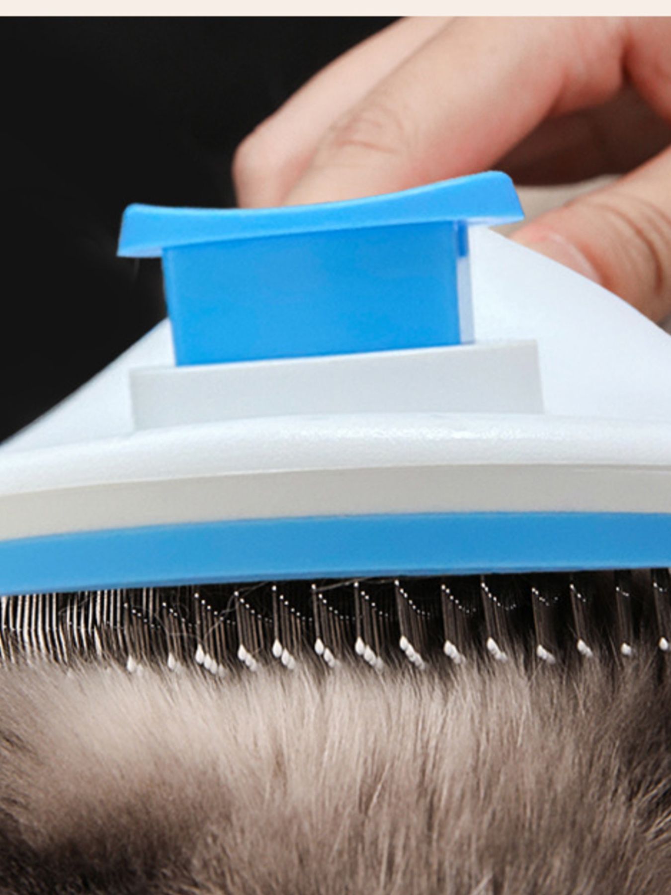 bf31a7a2-3c73-40d1-88de-7fb35235e24f-Max