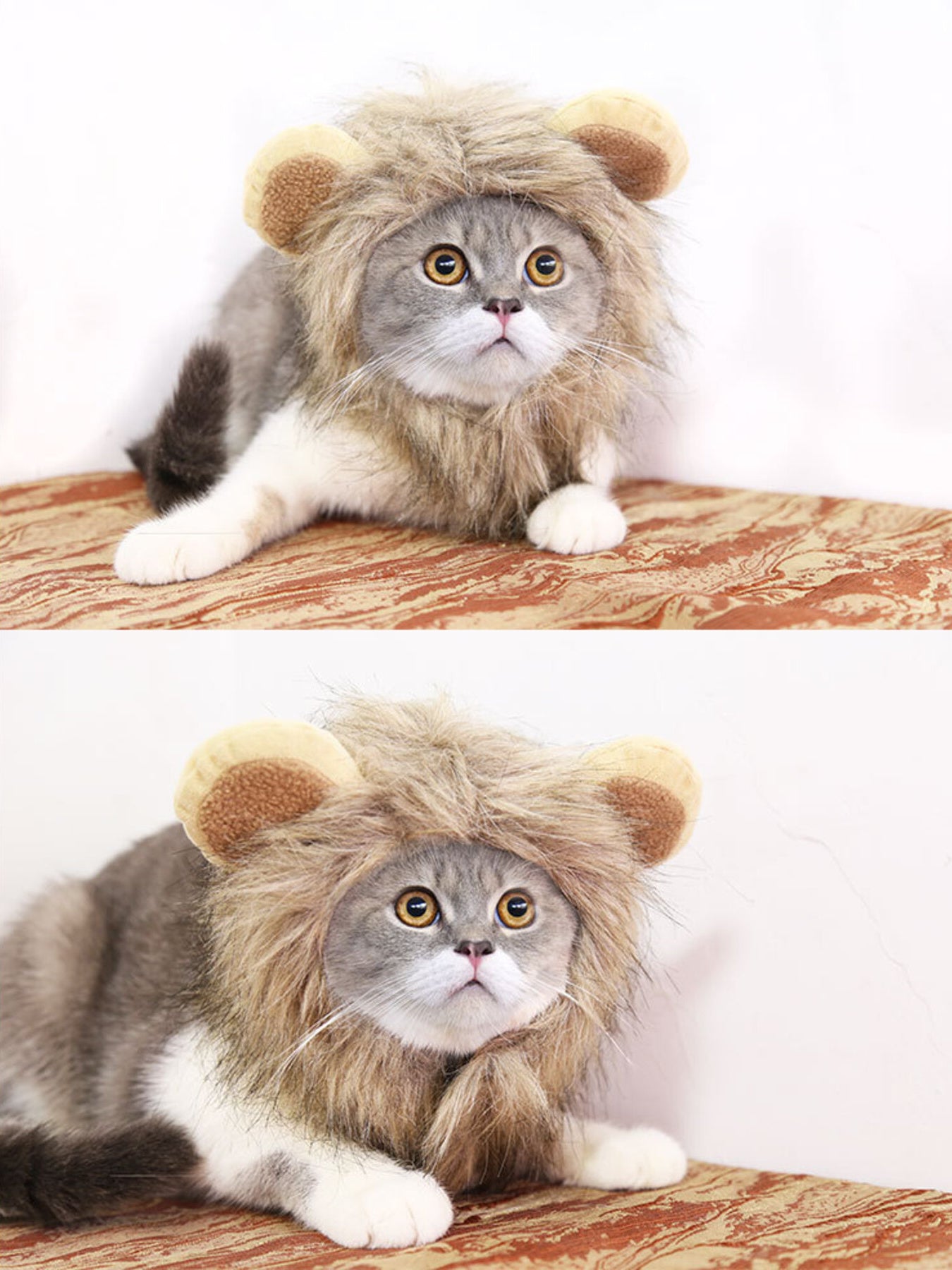 cdc79cd4f3f745eca63e63ff6a1b022b-Max