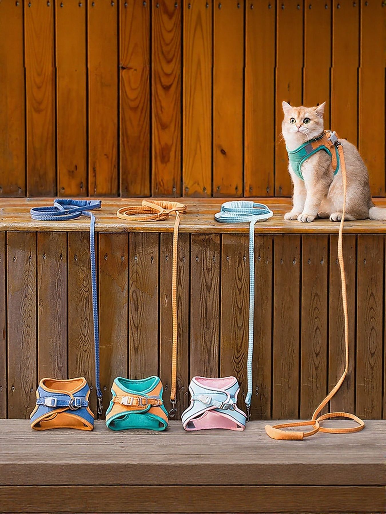 d3e89eae-01ed-4d89-9a40-d385da44b019-Max