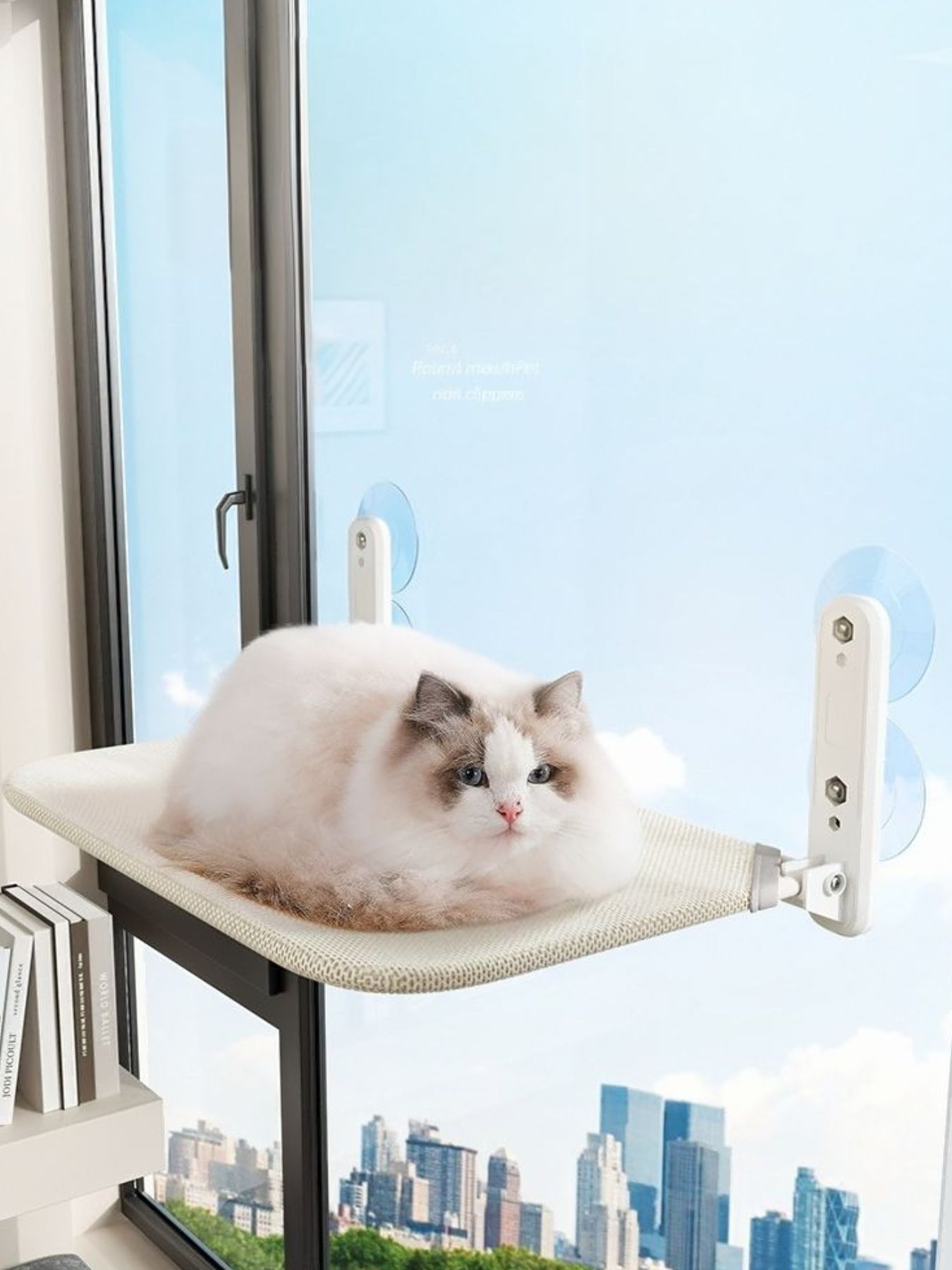 dd97b062-b298-4e8a-9293-0d7b61f1ac31-Max